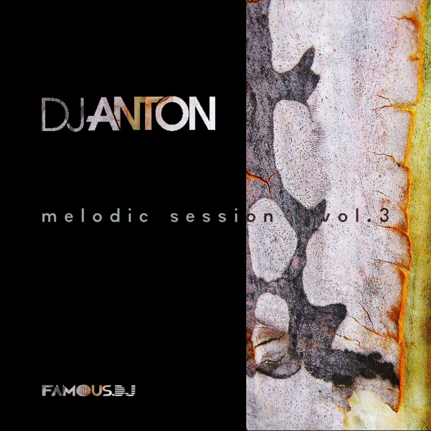 DJ ANTON - MELODIC SESSION VOL.03 episode artwork