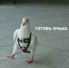 George Slim - Отстрапонь