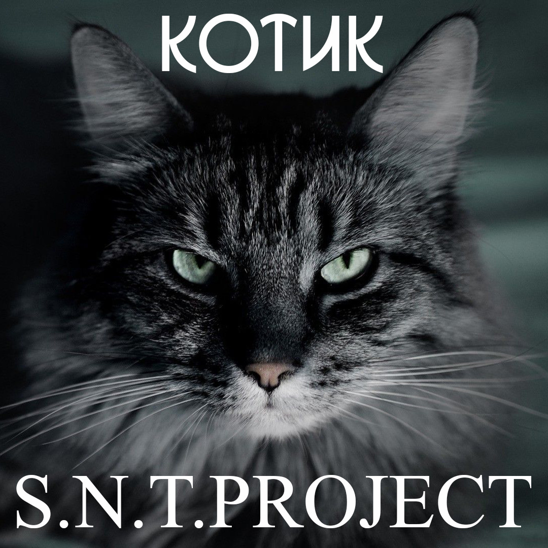 S.N.T.Project - Котик episode artwork