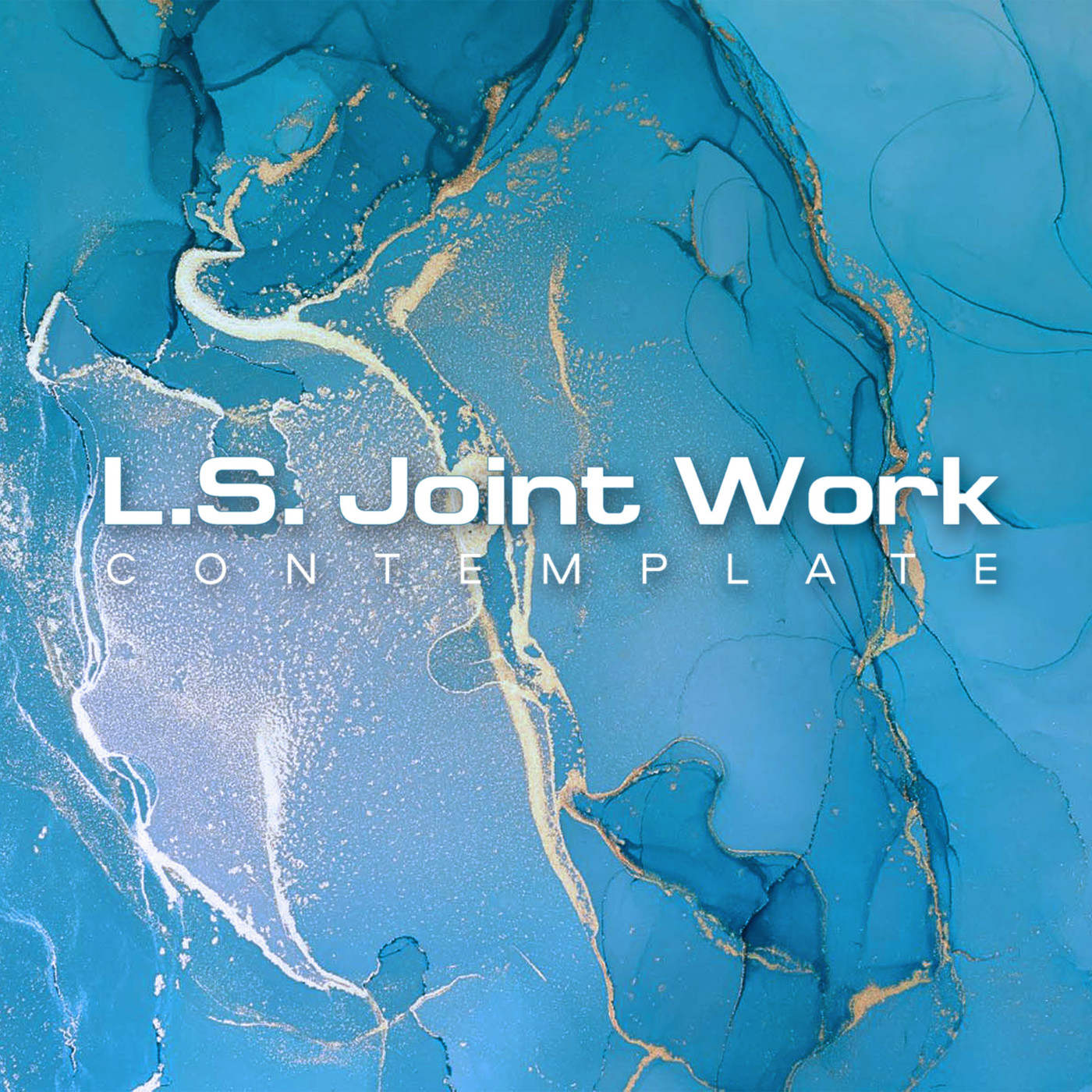 L.S. Joint Work - Contemplate