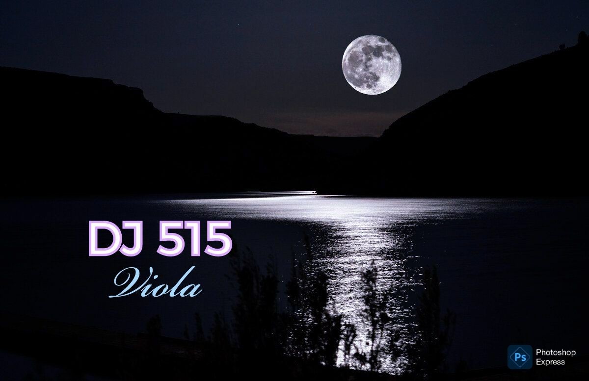 DJ 515 & Viola  - Сдам в аренду....