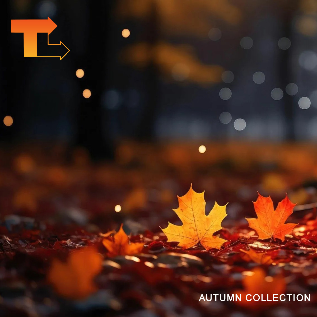 TranceLive Autumn Collection 2025