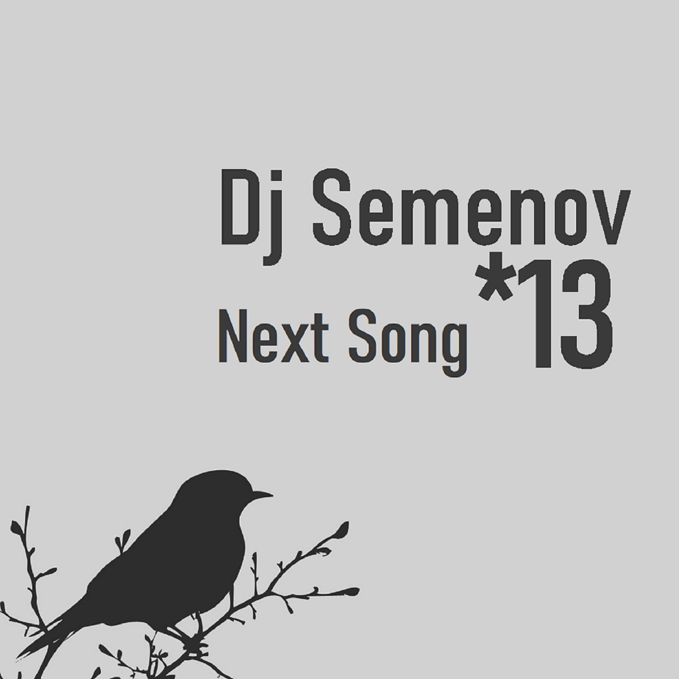 Dj Semenov - Next Song *13 episode artwork