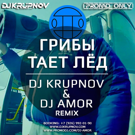 Грибы - Тает Лёд (DJ Krupnov & DJ Amor Remix)