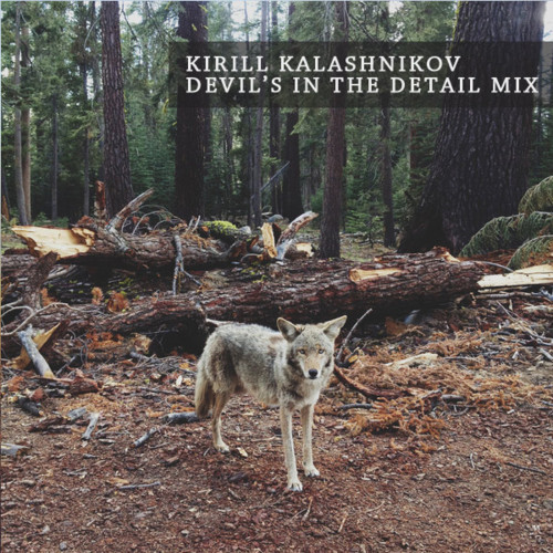 Kalashnikov - Devil's in the Detail Mix episode artwork
