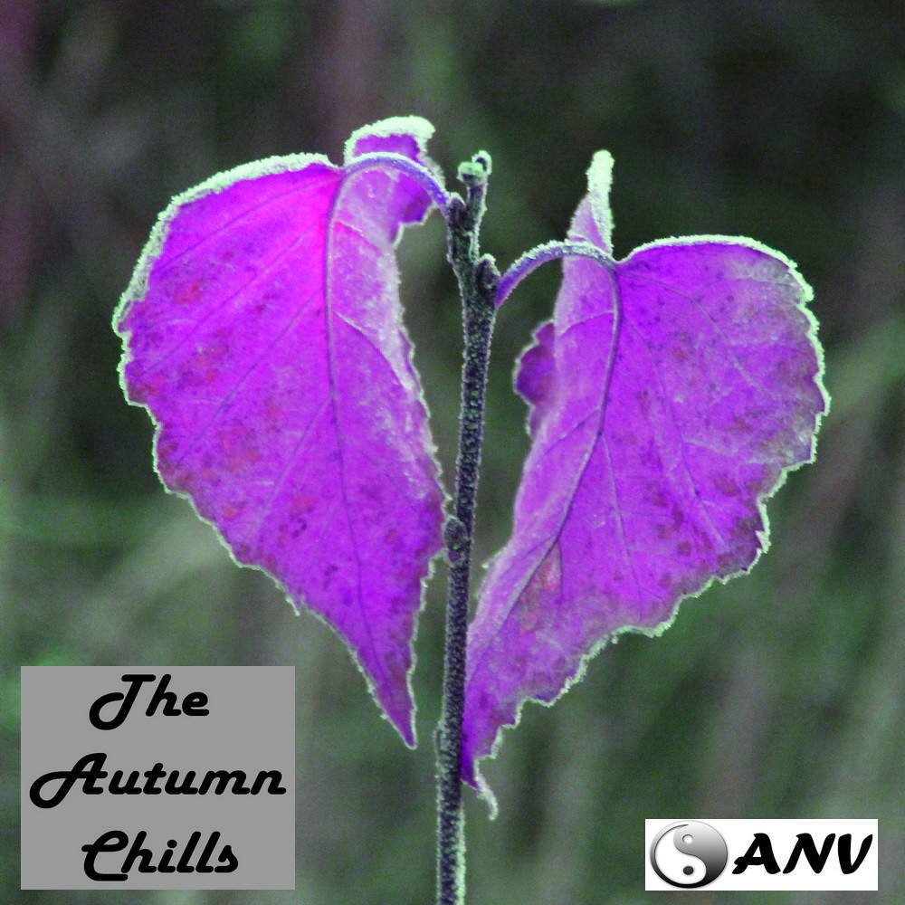 ANV - The Autumn Chills (Chillout Mix) episode artwork