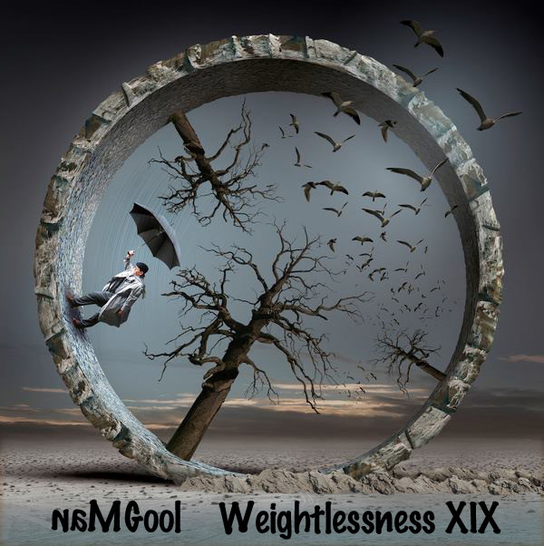 cover of episode Weightlessness XIX