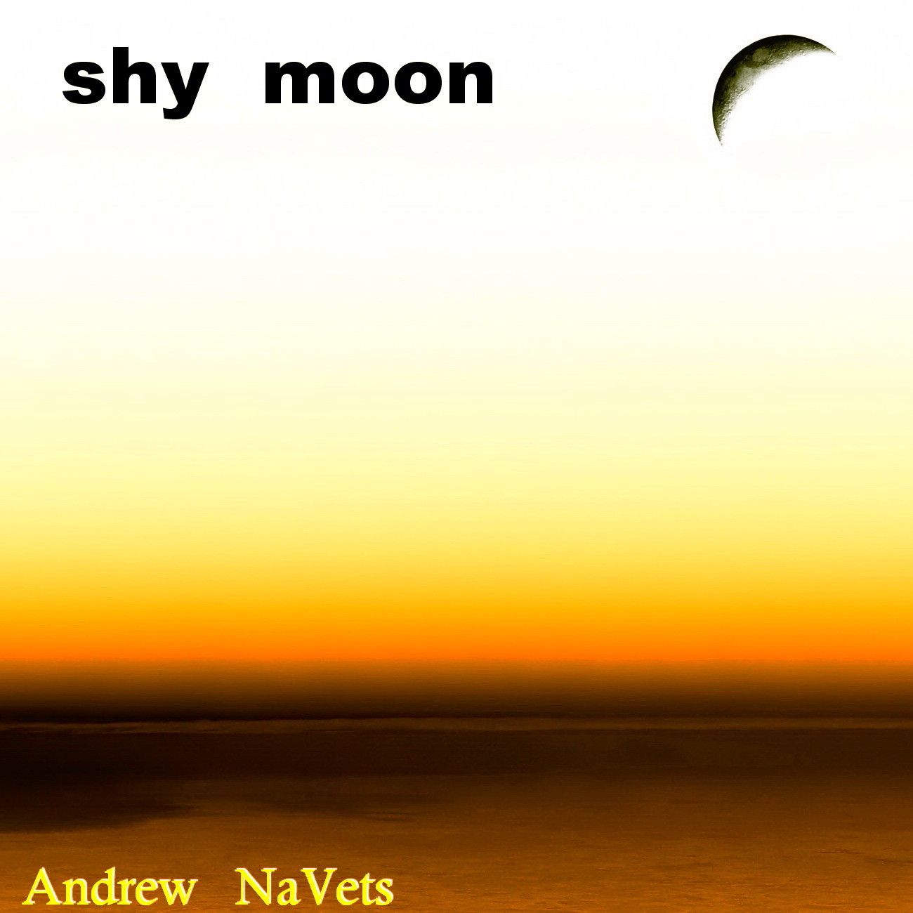 ANV - Shy moon (chillout mix)