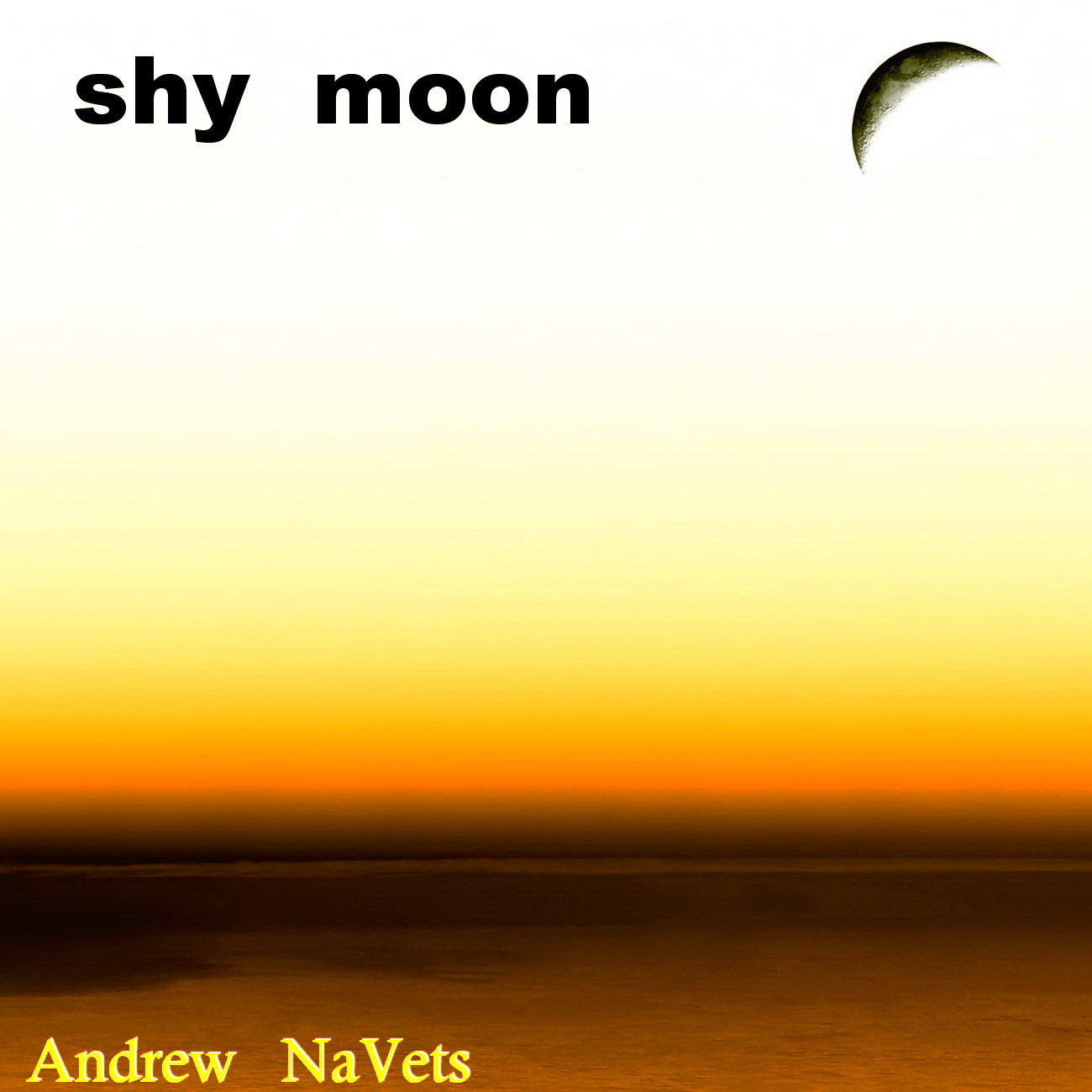 Andy moon