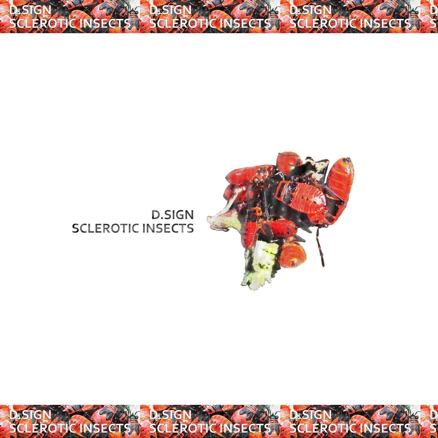 D.SIGN - Sclerotic Insects episode artwork
