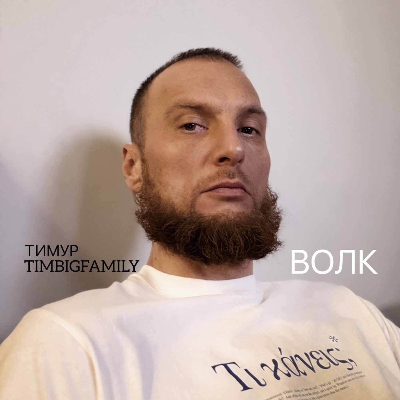 Тимур TIMBIGFAMILY - Волк