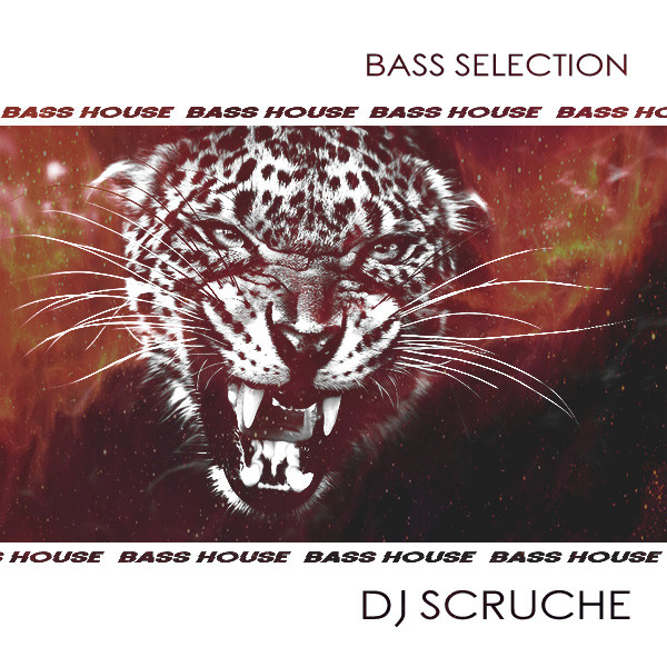DJ Scruche - Bass Selection Mix