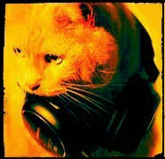 Rreejay - THE WEEKEND!!!