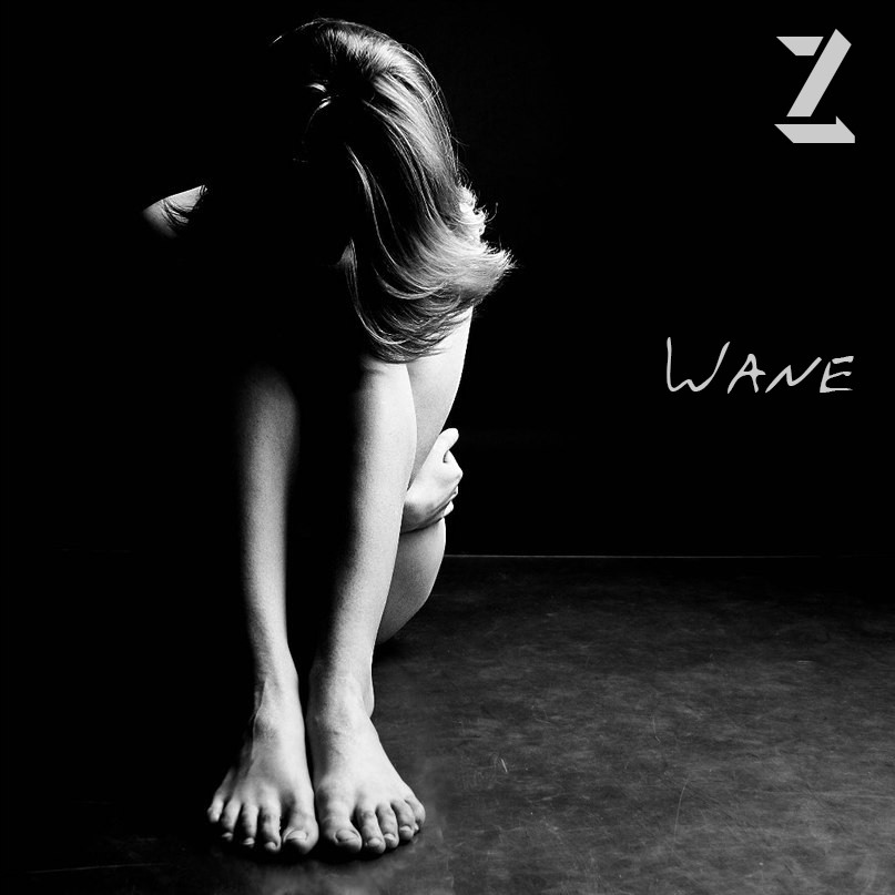 Z - Wane episode artwork