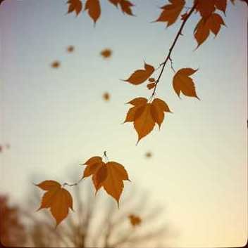 Aleksis7 - Ты забудешь меня (Remix)