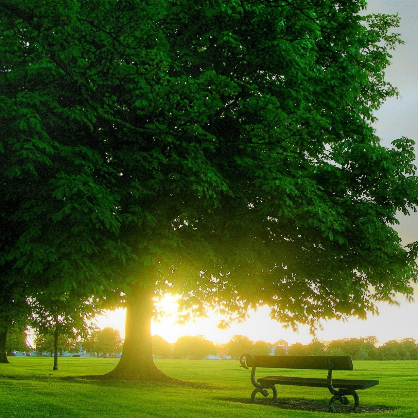 Dj Kirill sk - Beautiful melody