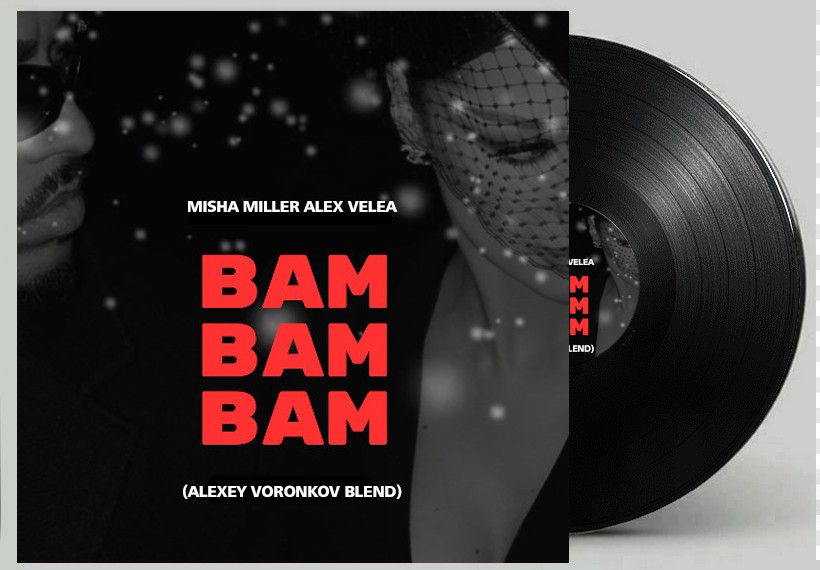 Misha Miller, Alex Velea - Bam Bam (Alexey Voronkov Blend) episode artwork