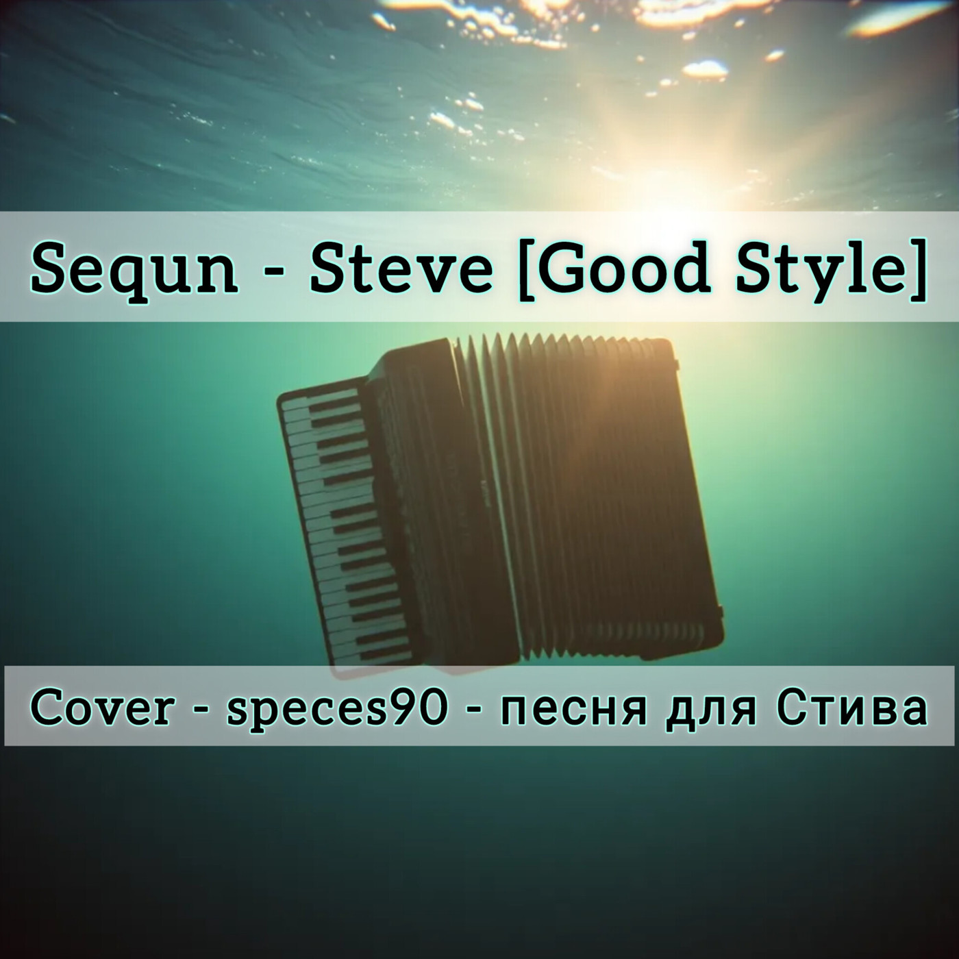 Sequn - Steve [Cover speces90 - песня для Стива]