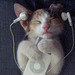 Efim Kerbut - I relax you want (28.05.2010) episode artwork