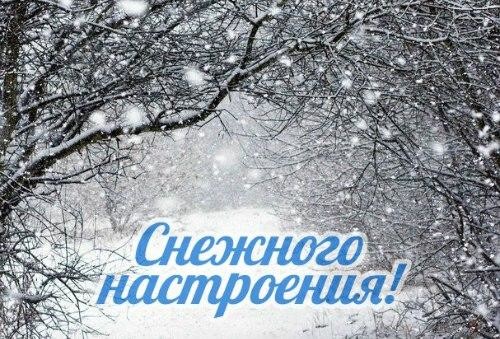 ПЕРВОСНЕЖЬЕ - Андрей Федяшкин