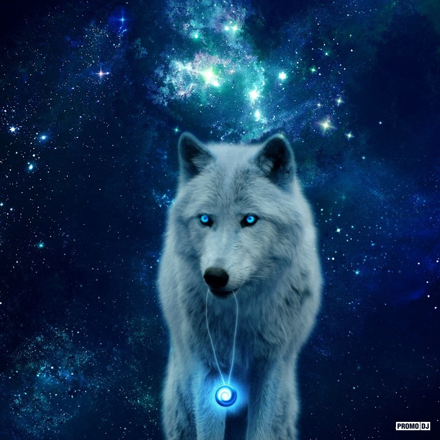 FS Wolf - Млечный Путь episode artwork