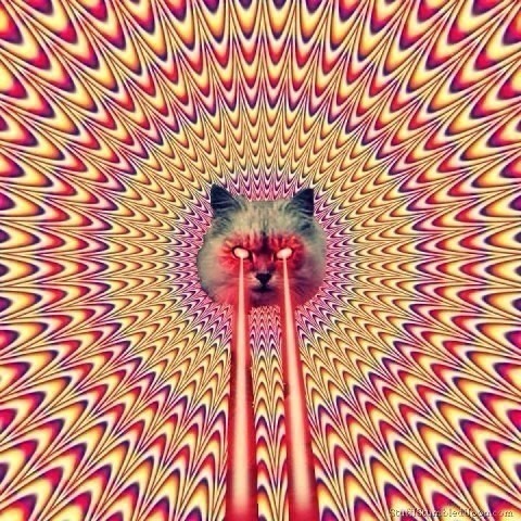 Dj.Dandy - Yeah Bassh episode artwork