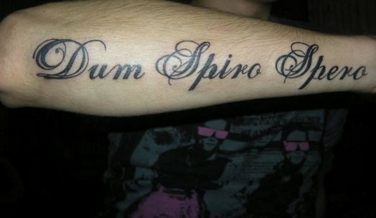 Пока дышу надеюсь латынь. Тату надпись на руке. Татуировка на предплечье надпись. Тату на предплечье надпись на латыни. Тату надпись Dum Spiro spero.