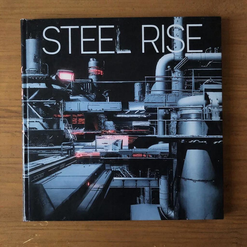 Steel Rise (Neural network)