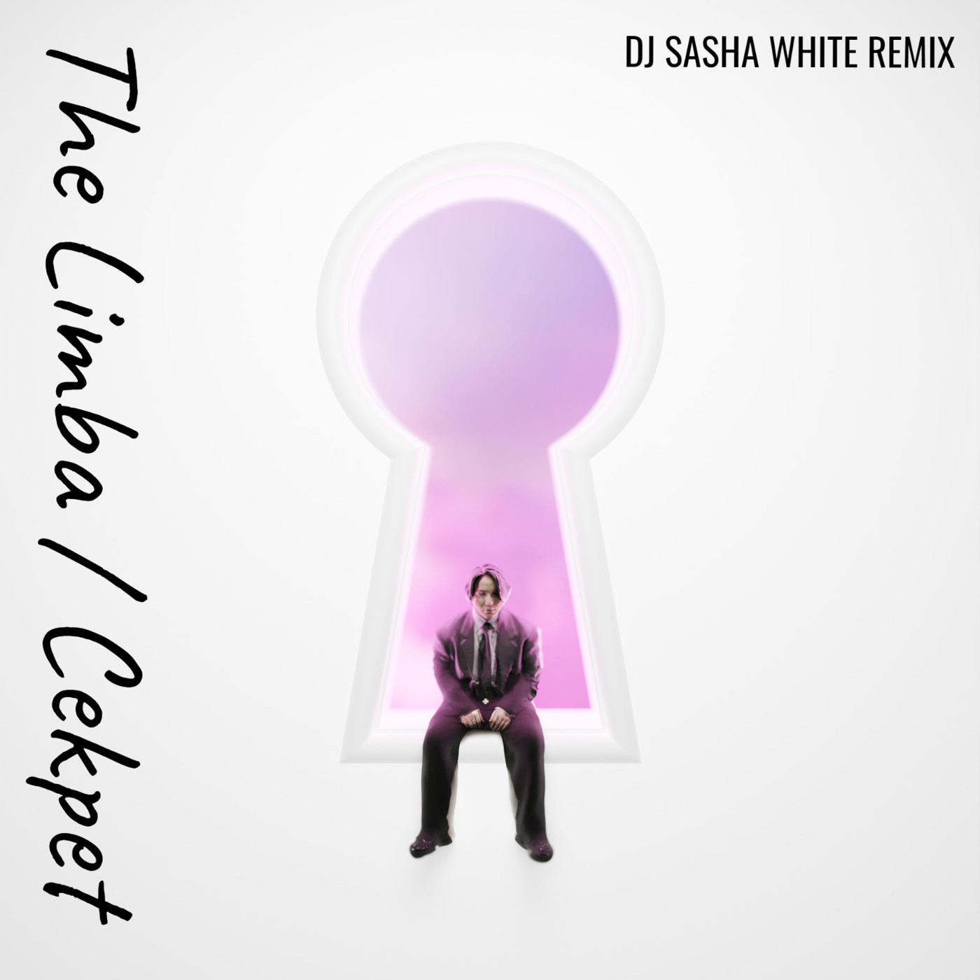 White remix. The limba секрет. Не верю (DJ Sasha White Remix обложка. Amirchik - не верю (DJ Sasha White Remix).