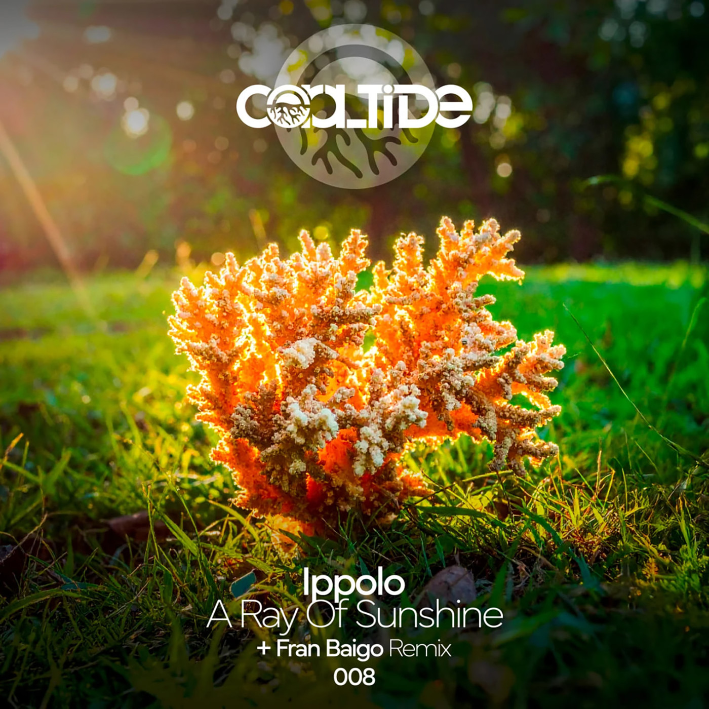 Ippolo - A Ray Of Sunshine (Original Mix) episode artwork