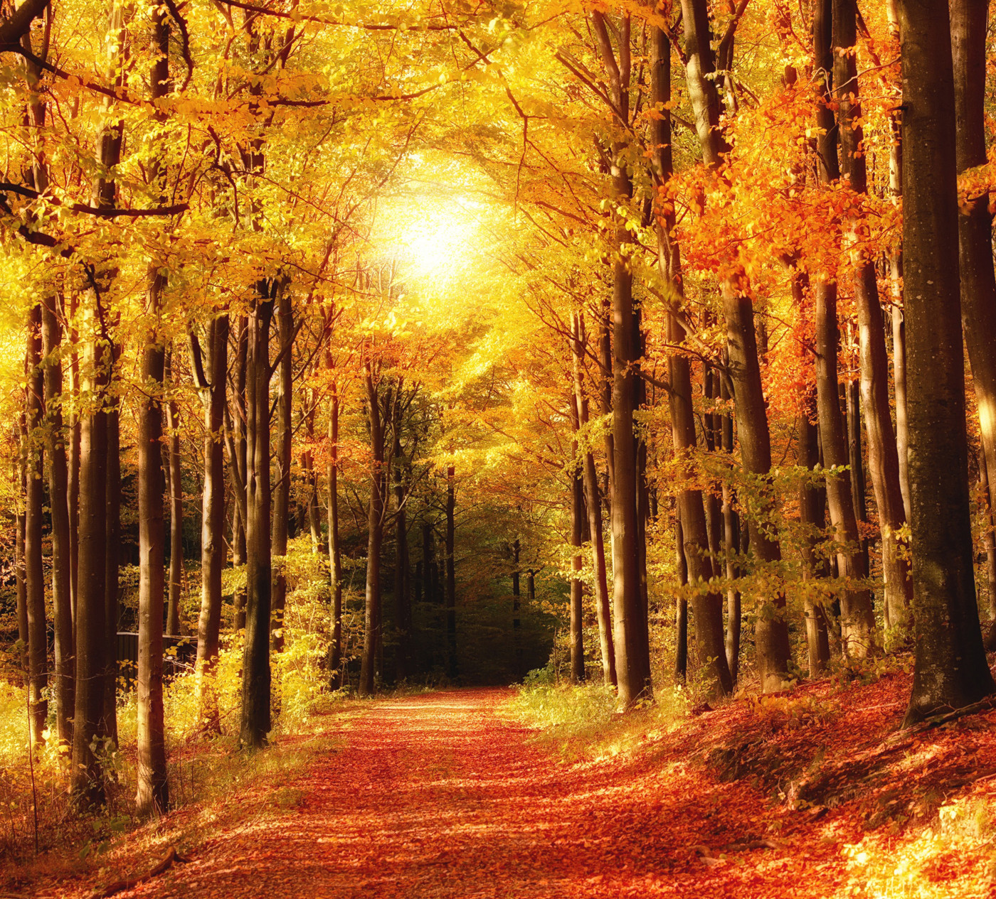 Осеннее настроение (Autumn mood - VALALEX22) episode artwork