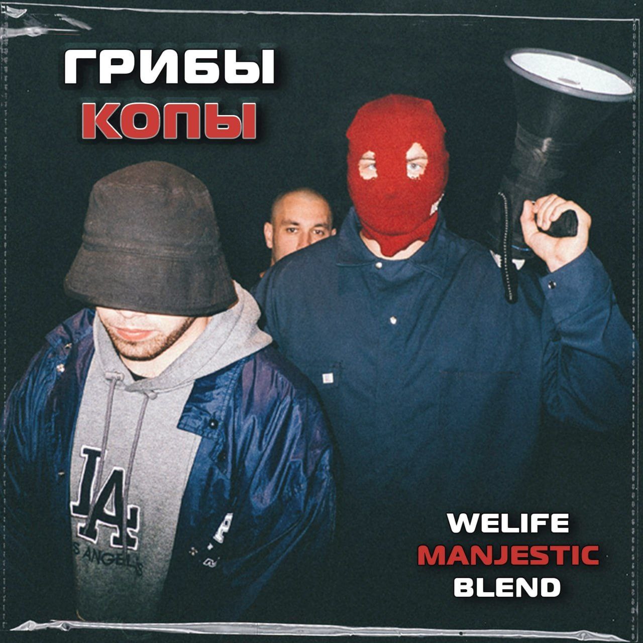 Format B x Грибы Копы (WeLife & Manjestic Blend)