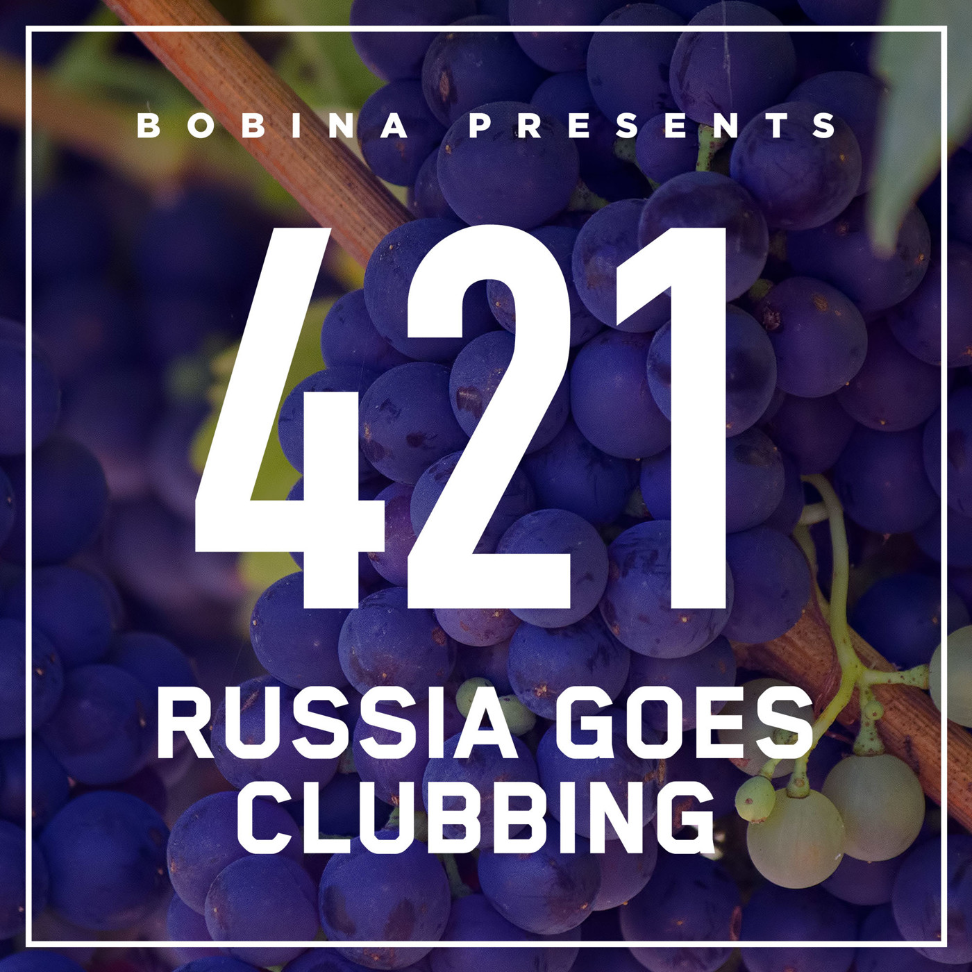Bobina - Nr. 421 Russia Goes Clubbing (Rus)