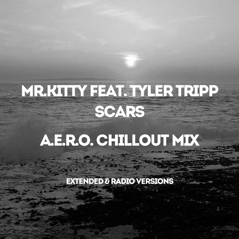 Mr.Kitty Feat. Tyler Tripp - Scars (A.e.r.o. Chillout Radio Mix) episode artwork