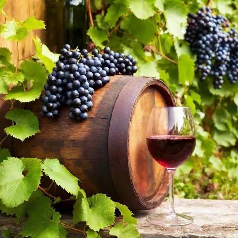 СОК -  Я хочу посадить виноград СОК -  Я хочу посадить виноград