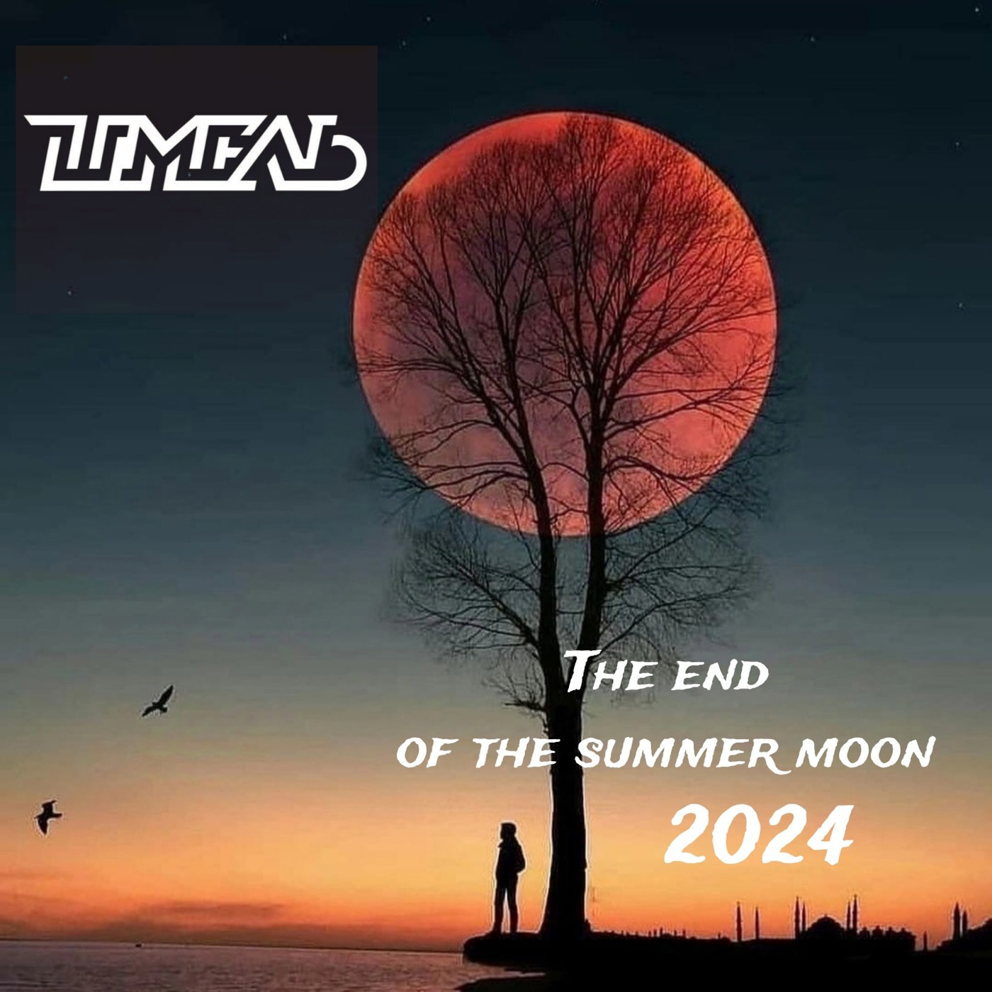 DJ Шмель -The End Of Summer Moon 2024