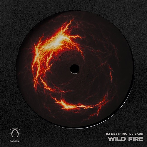 DJ Nejtrino, DJ Baur - Wild Fire (Radio Mix)