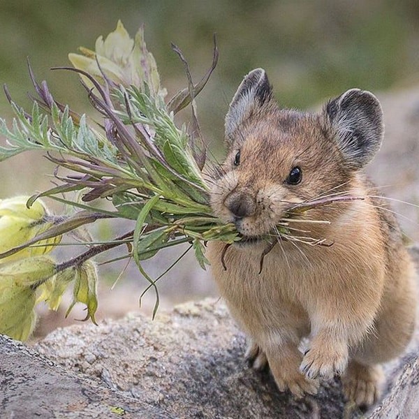 Modern Talking new vers