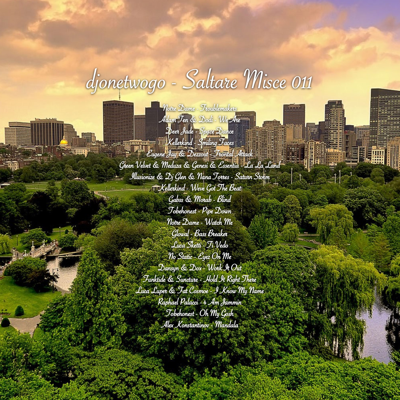 djonetwogo - Saltare Misce 011 episode artwork