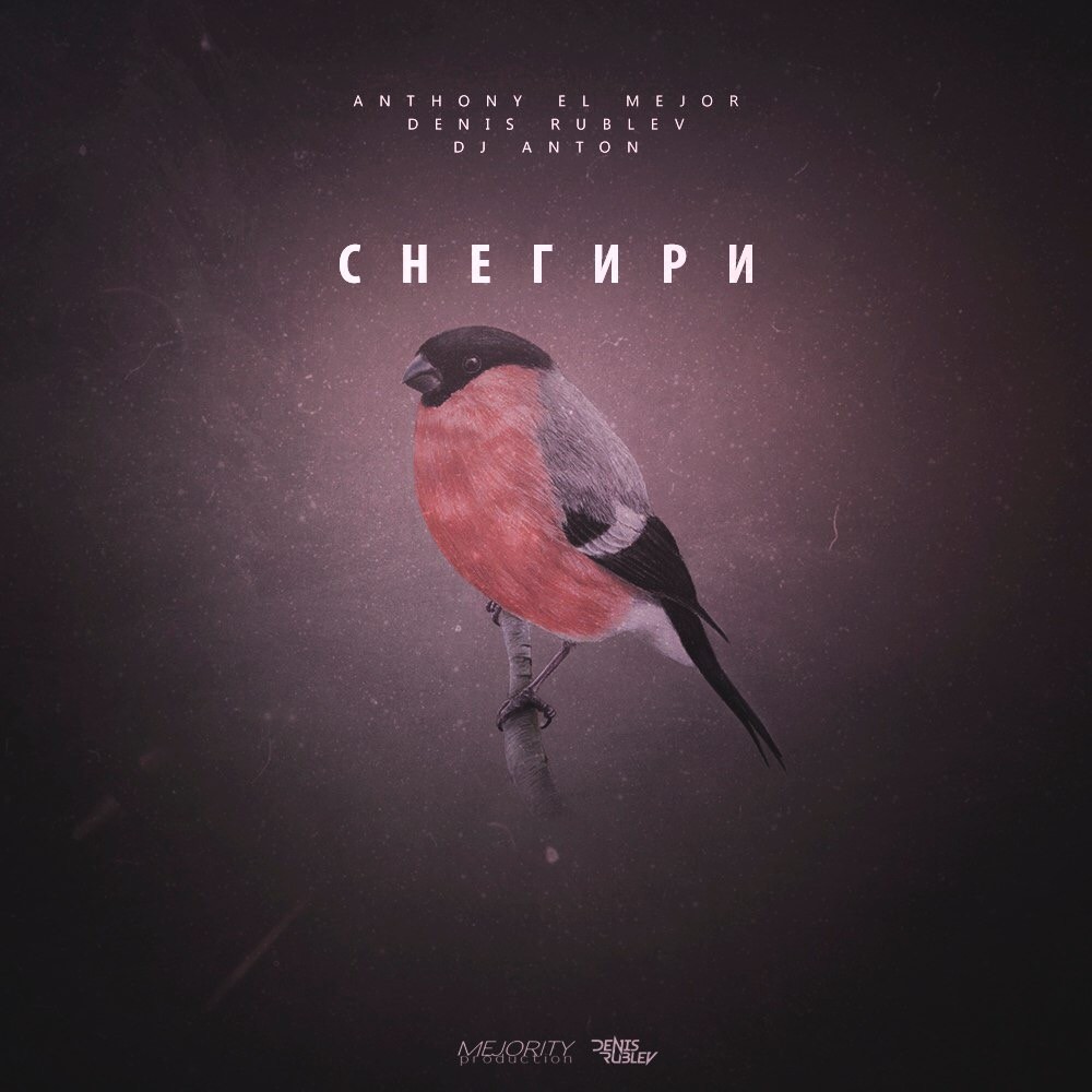 Anthony El Mejor vs Dj Denis Rublev & Dj Anton - Снегири (Сover mix) episode artwork