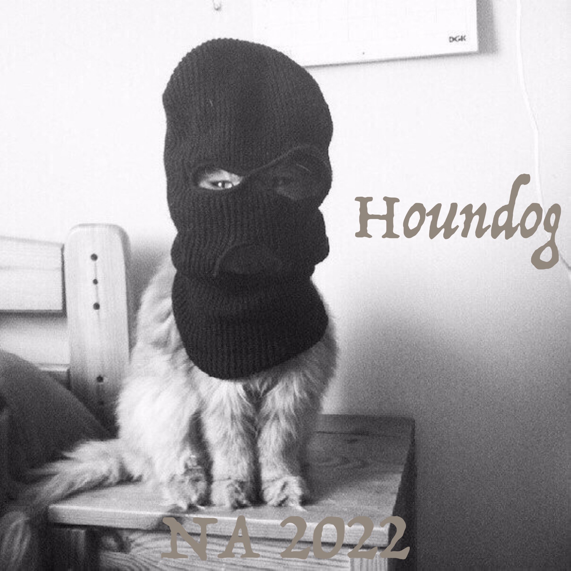 Кот в найке
