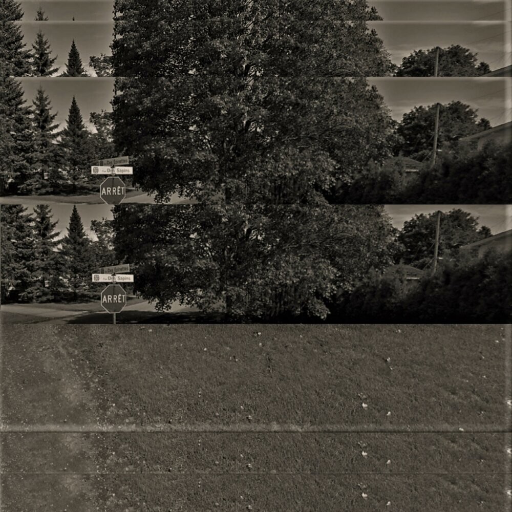 Hlafsfed-Notification-world79.spcs.bio