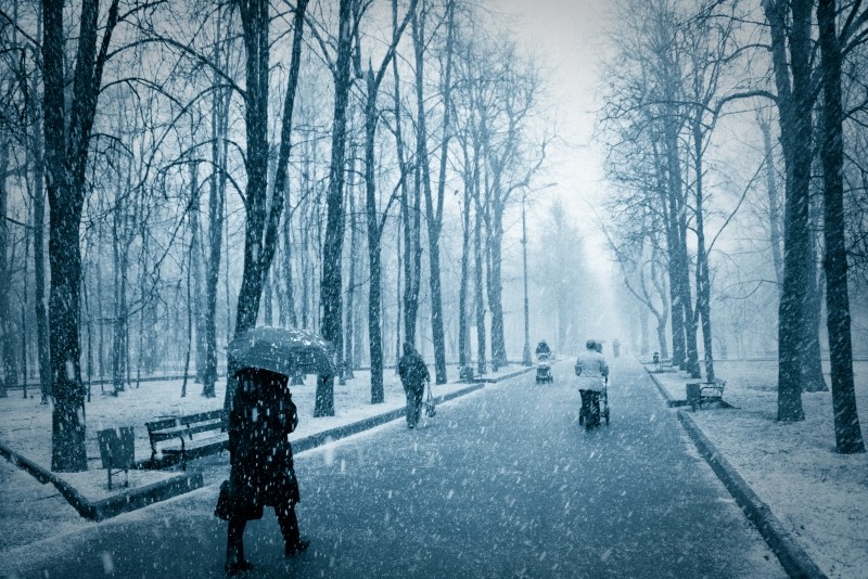 Alexy.Nov - April Snow (cover) episode artwork