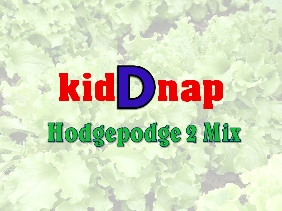 Hodgepodge 2 Mix by kidDnap (September- October '21)