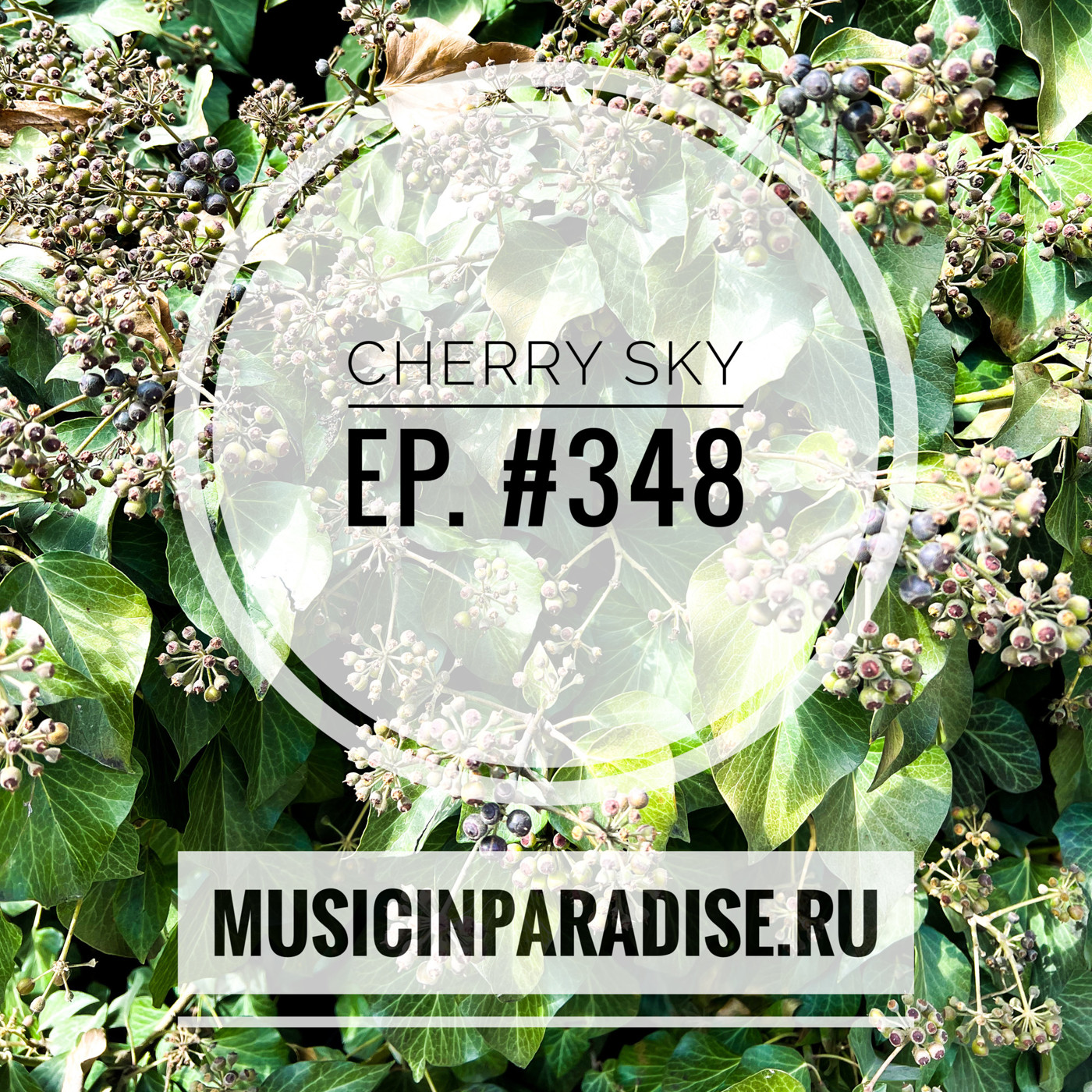 Vlad Cherry - Cherry Sky #348