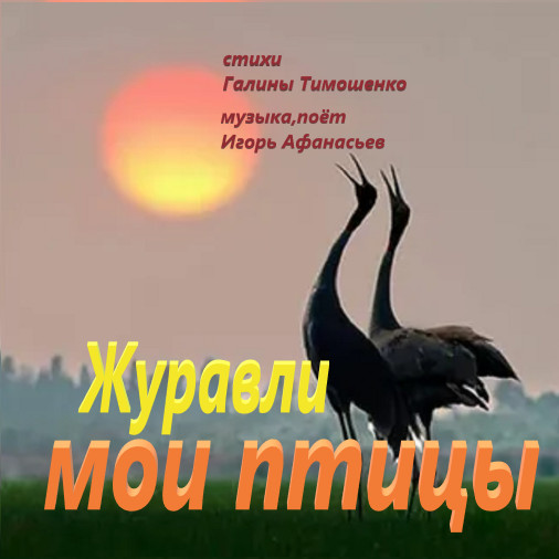 Журавли ,мои птицы