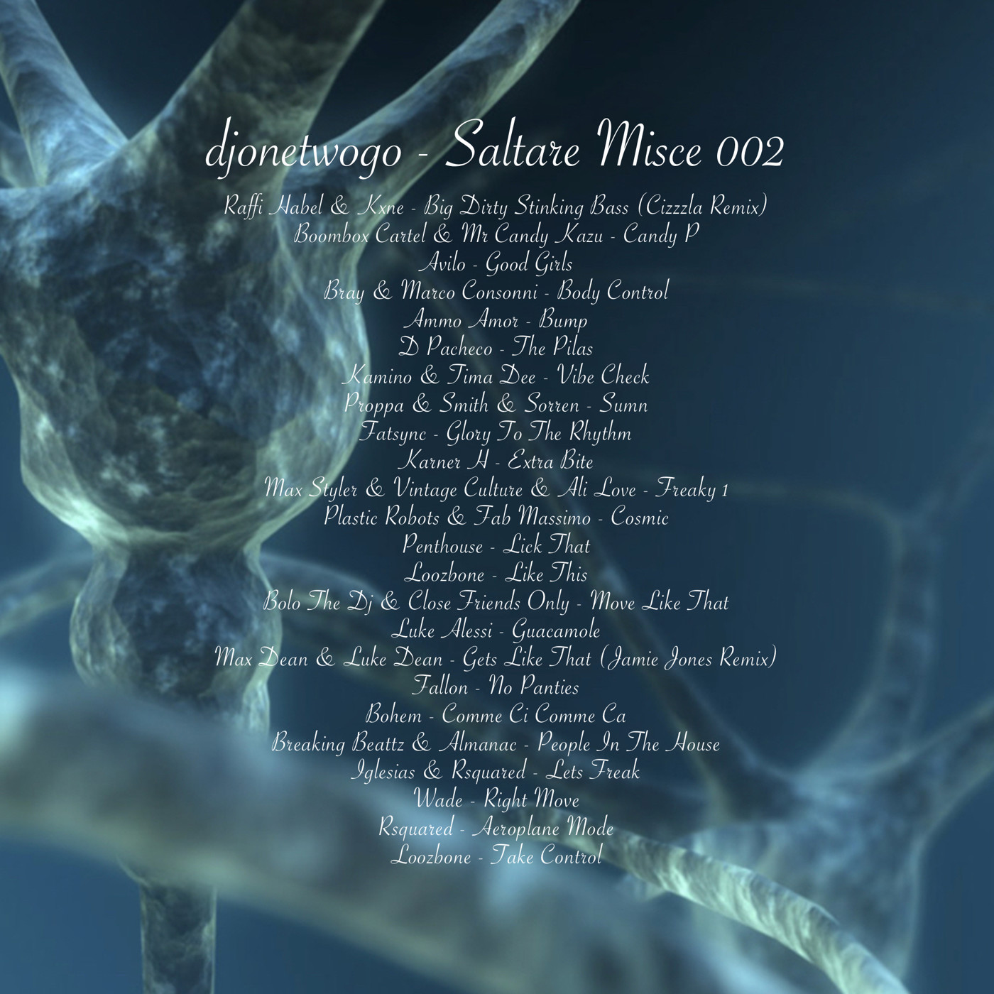 djonetwogo - Saltare Misce 002