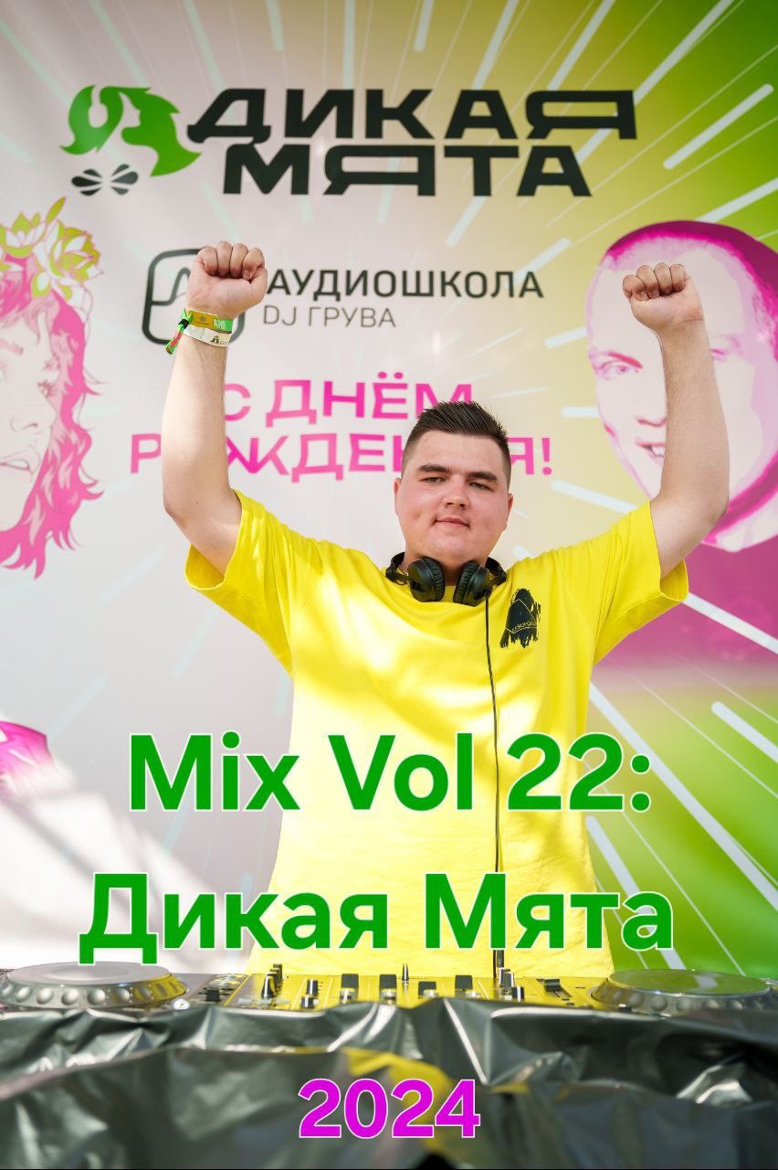 Mix Vol 22 Дикая Мята 2024