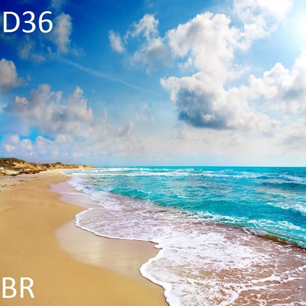 D36 - set - BR episode artwork