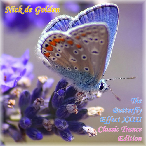 Nick de Golden - The Butterfly Effect Part XXIII (Classic Trance Edition) episode artwork